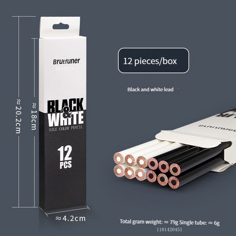 12Pcs Black & White Permanent Oil-based Wooden Colored Pencils for Artists and Beginners