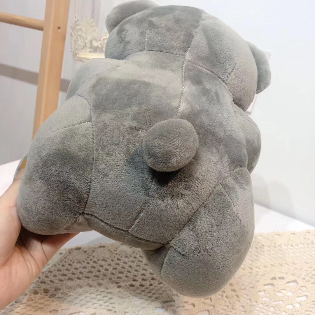 Cute Teddy Bear Gift in Colorful Box