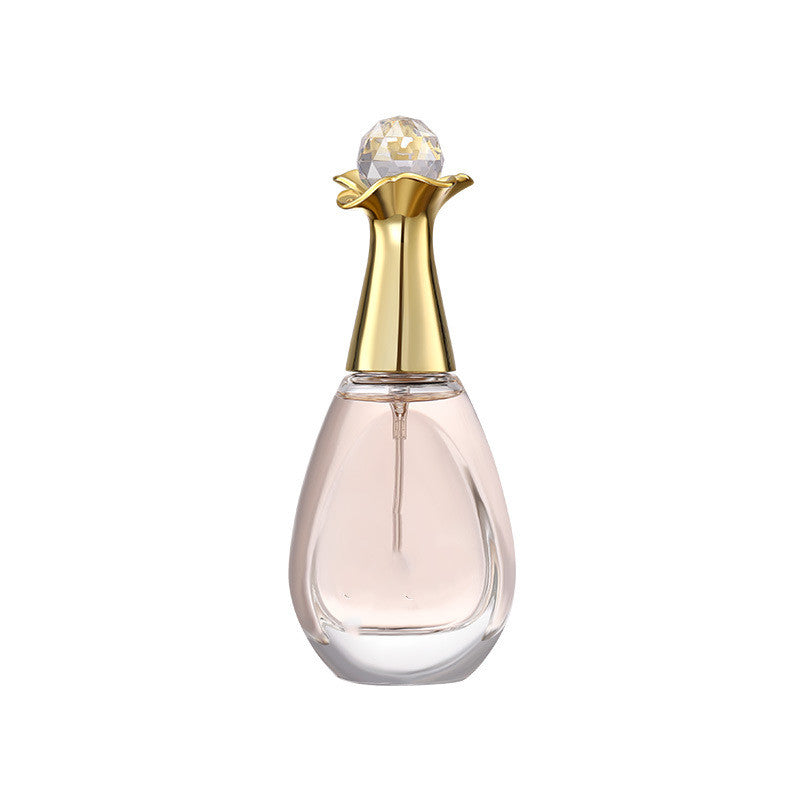 Long - lasting and Refreshing Fragrance for a Light and Elegant Perfume Experience