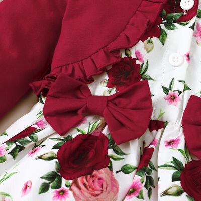 Floral Frilled Round Neck Dress with Flounce Sleeves
