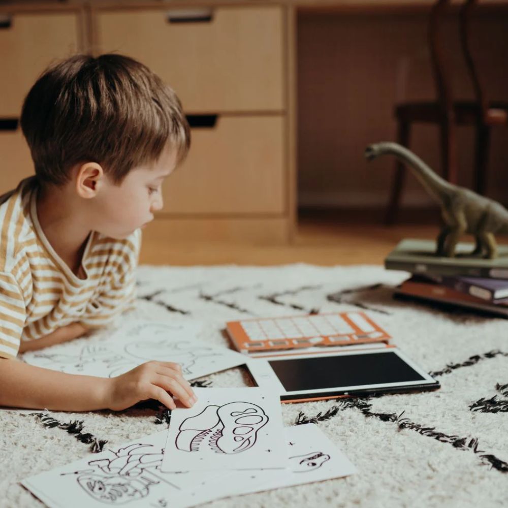 Kidydraw Mini LCD Drawing Pad with 30 Transferable Dinosaur Illustrations