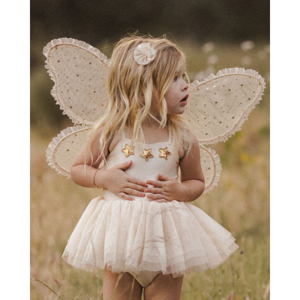 Shimmery Noralee Clementine Tutu for Little Ballerinas