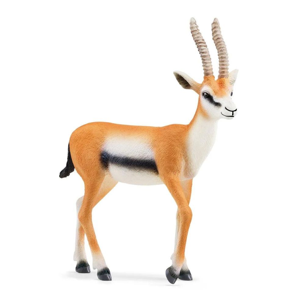 Schleich Realistic Thompson Gazelle with Distinctive Stripes