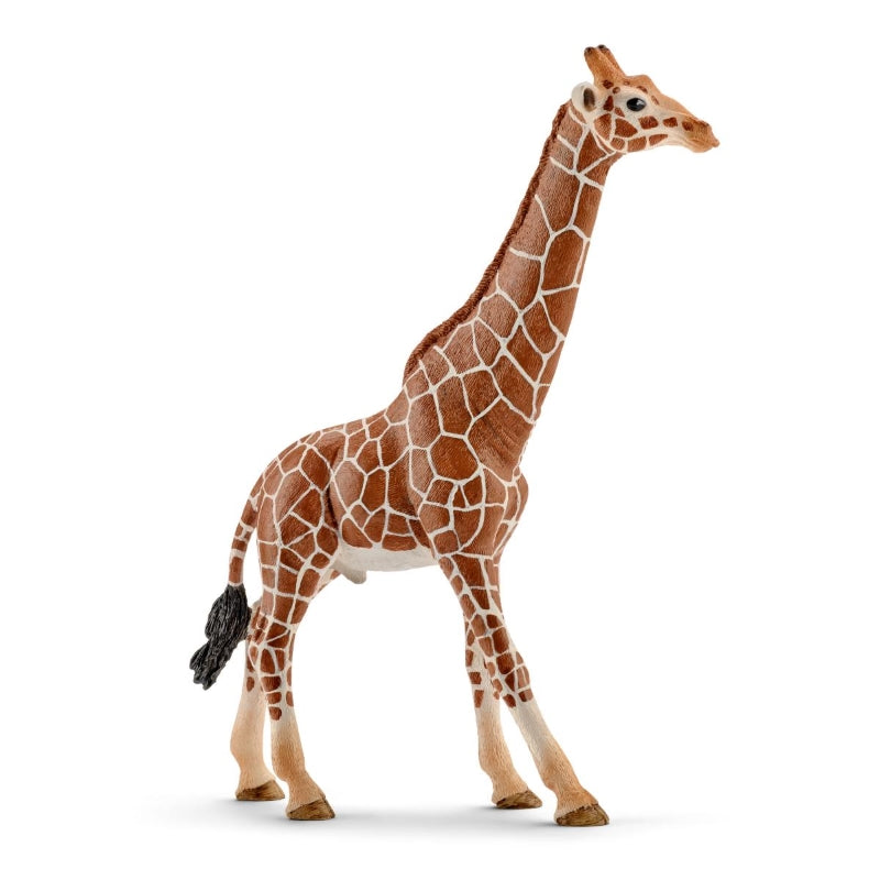 Schleich Collectible Male Giraffe Figurine