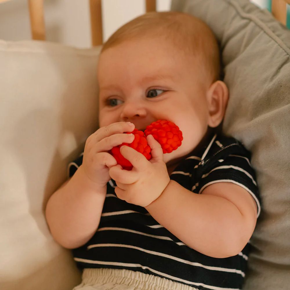 Oli and Carol Chewable Raspberry - Inspired Baby Teething Toy for Sensory Play and Bath Time
