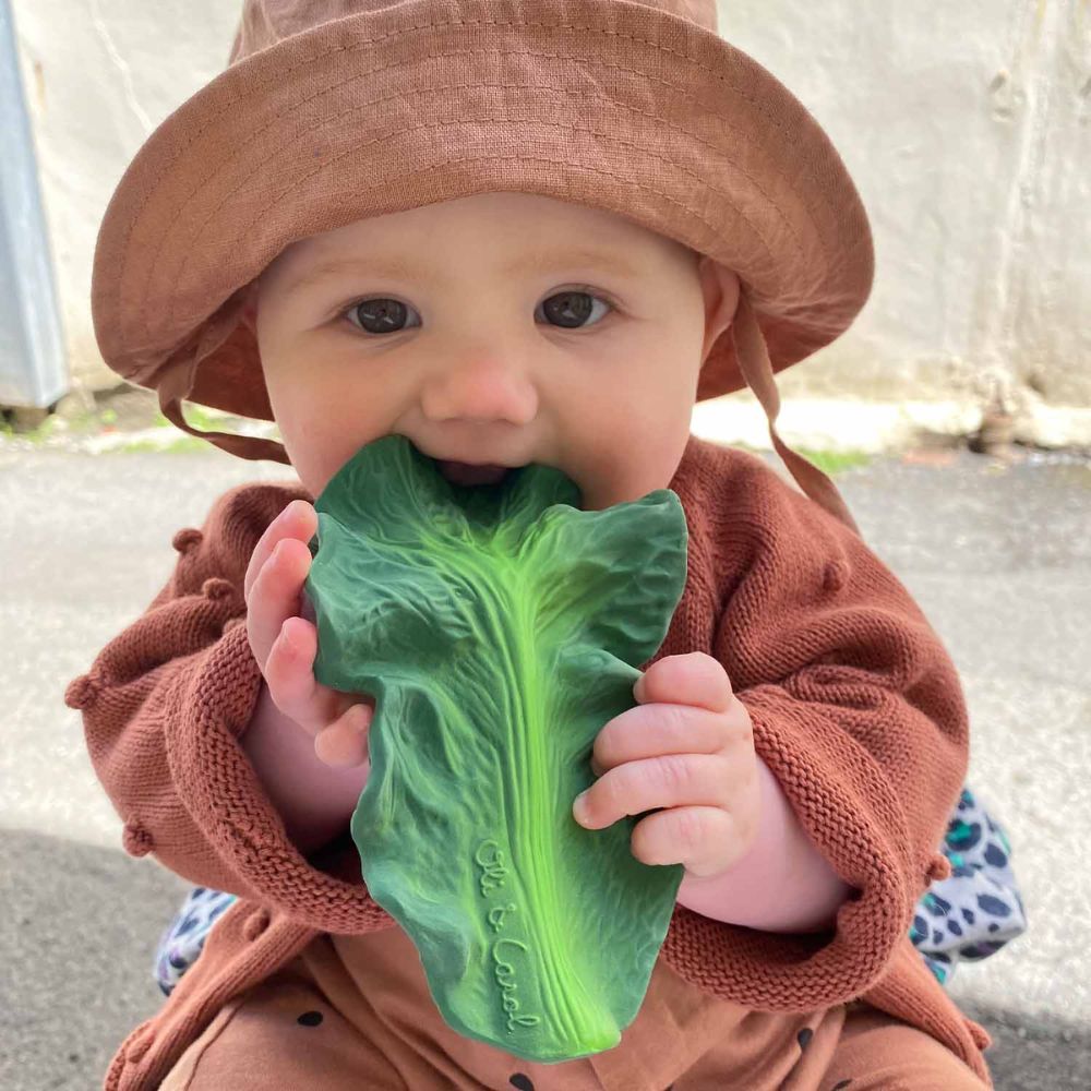 Oli and Carol Kendall The Kale Chewable Vegetable - Shaped Baby Toy for Teething and Sensory Development