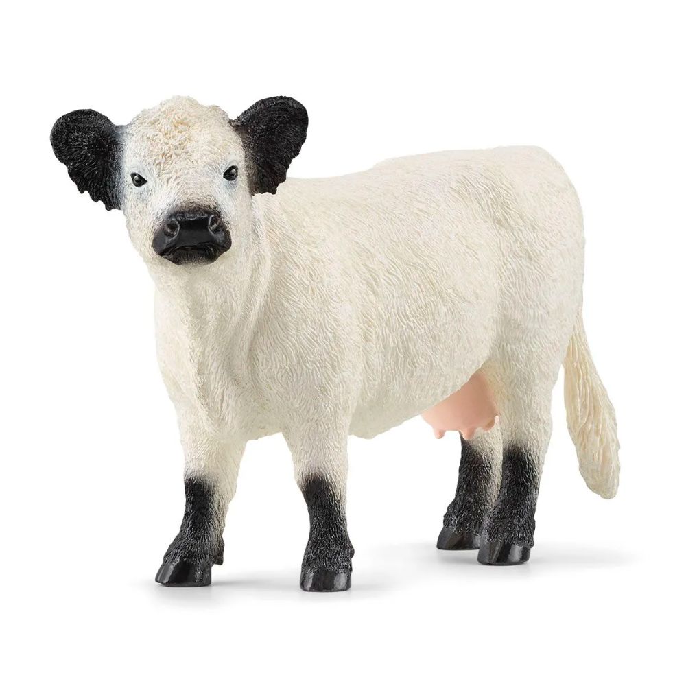 Schleich Realistic White and Dark Galloway Cattle Figurines