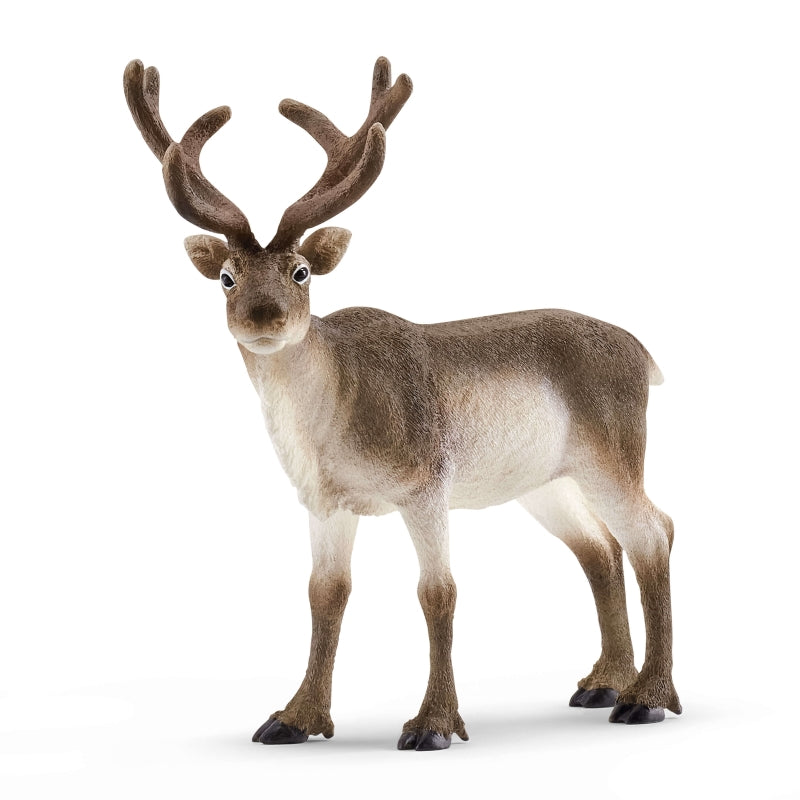 Schleich Realistic Grey - Brown Coated Reindeer Toy