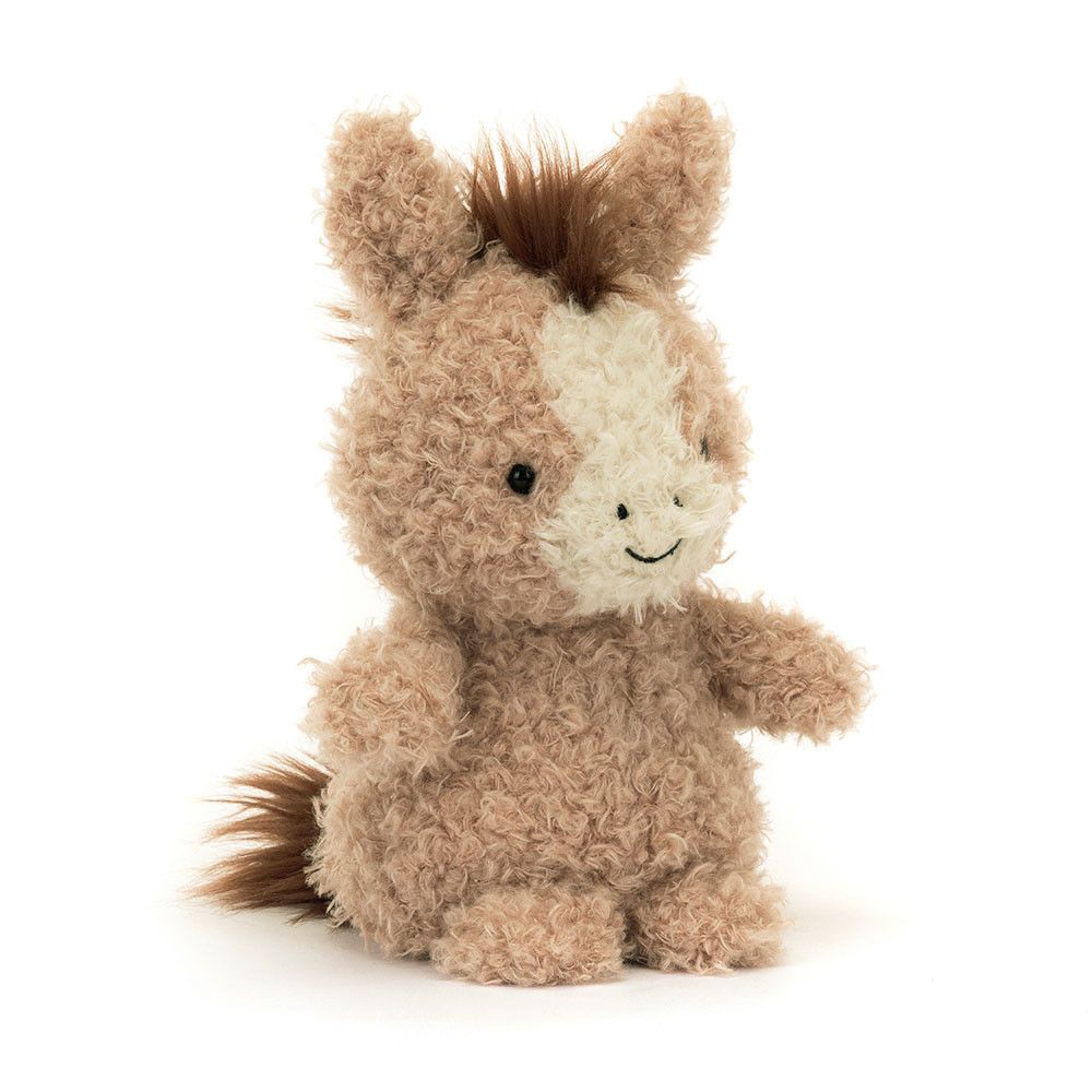 Adorable Miniature Little Horse with Curly Nougat Fur