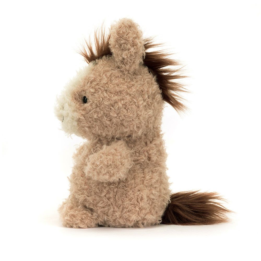 Adorable Miniature Little Horse with Curly Nougat Fur