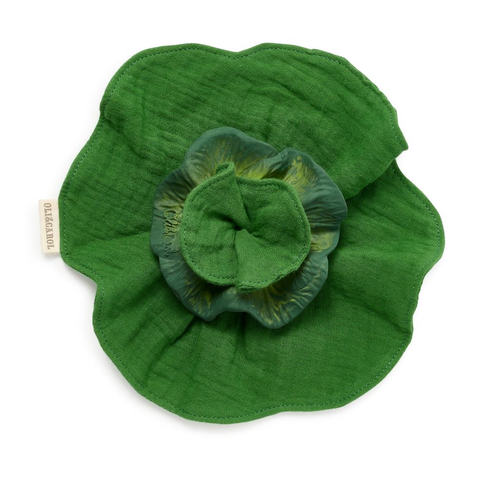 Oli and Carol Organic Mini Doudou Teether - The Kale for Newborns