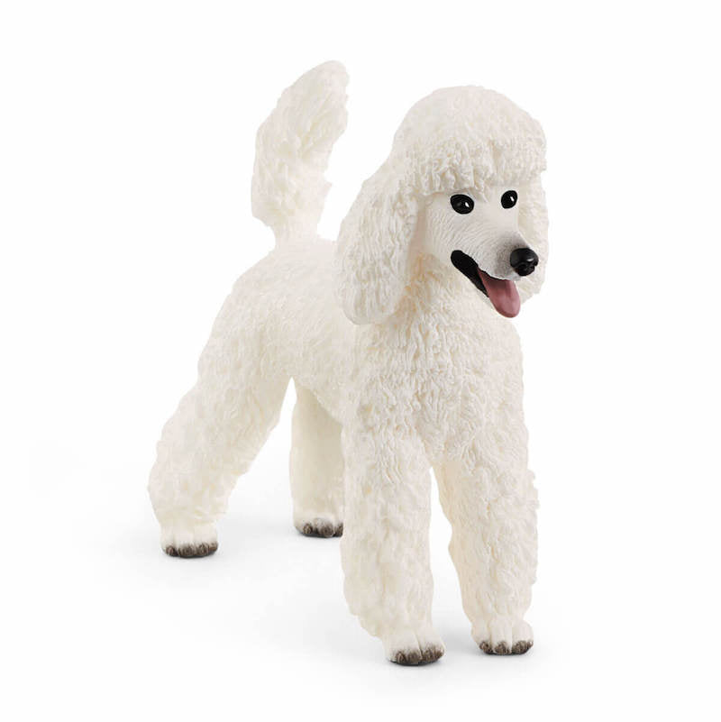2021 Schleich Beautiful White-Coated Poodle Figurine