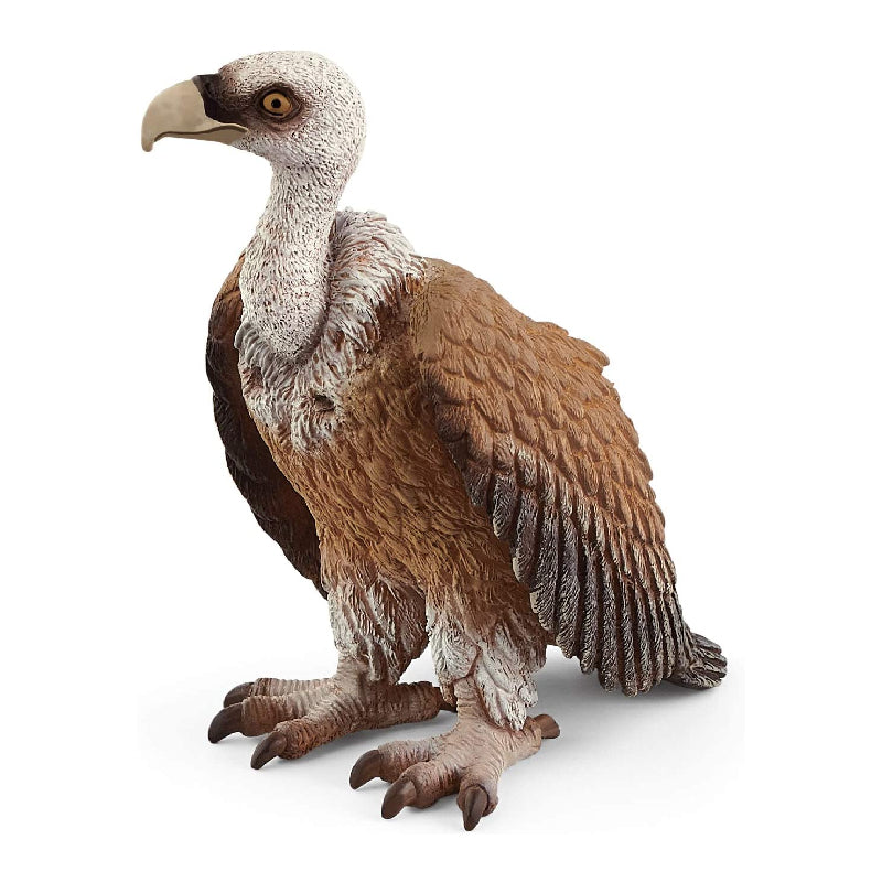 Schleich 2021 Griffon Vulture Figurine for Kids