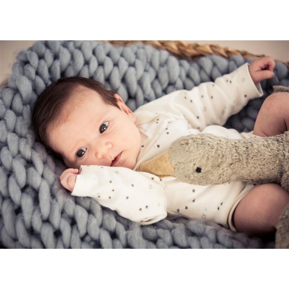 Large Grey Senger Cuddly Goose - A Cozy Handmade Ecological Plush Toy and Pillow