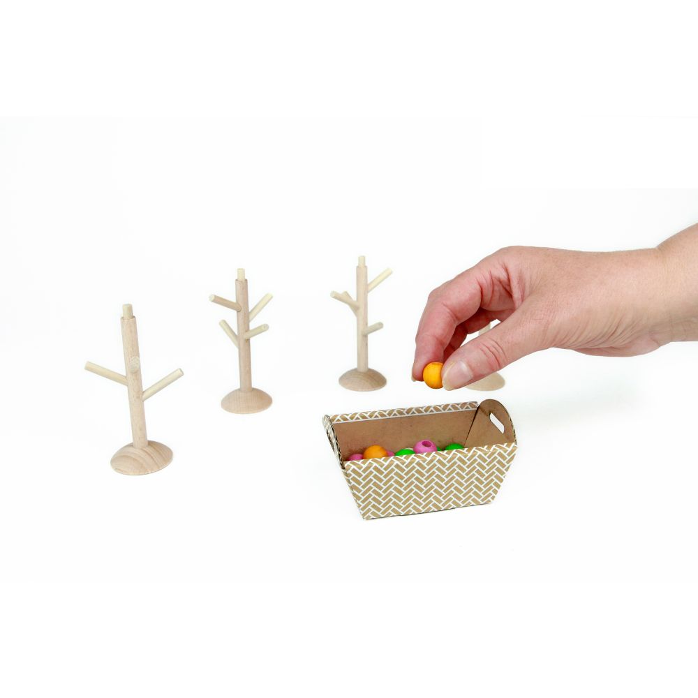 Seasonal Canopy Placement Strategy Board Game for 2 - 4 Players Aged 6+