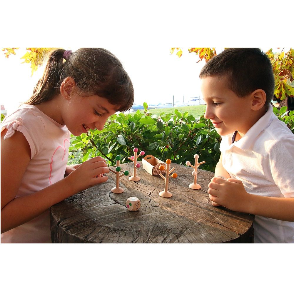 Seasonal Canopy Placement Strategy Board Game for 2 - 4 Players Aged 6+